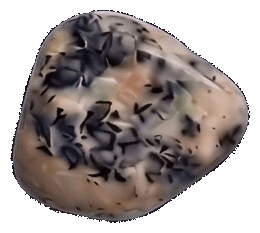 Dendritic Agate